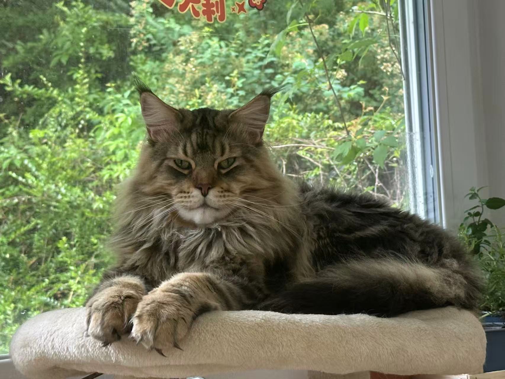 Riki