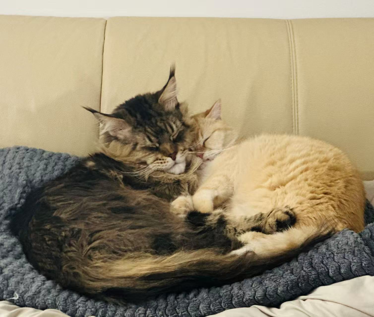 Sleeping